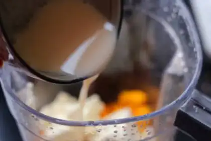 Make Mango Moose step 4