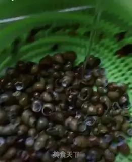 Make Snails step 0