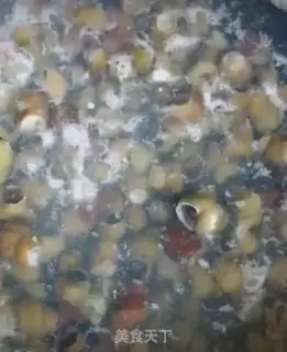 Make Snails step 1