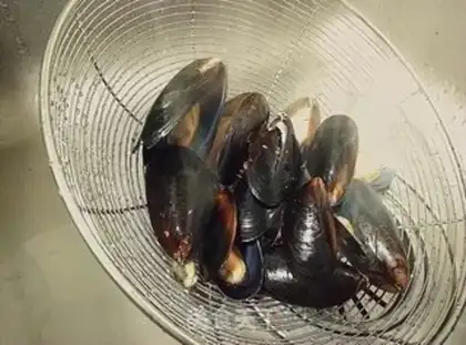 Make Porridge mussels step 1