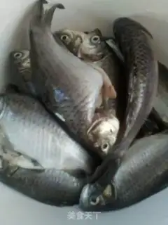 Make Squid soup step 0