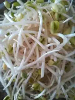 Make Pighead sprouts step 1