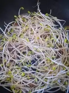 Make Pighead sprouts step 3
