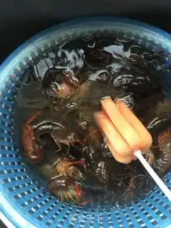 Make Spicy lobster step 0
