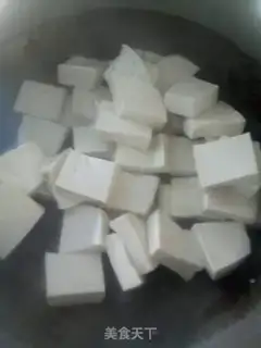 Make Tofu step 0