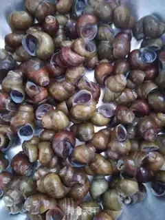 Make Fry step 1