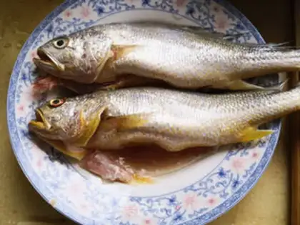 Make The family yellowfish step 0