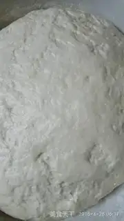 Make Pigeons step 0
