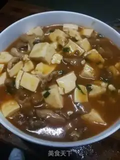 Make Meat tofu step 8