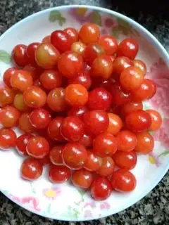 Make Cherry jelly step 2