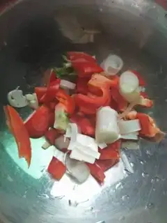 Make Santin step 1