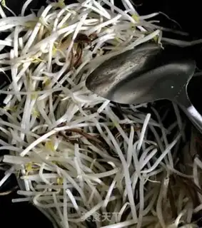 Make Tea mushrooms fried green bean sprouts step 3