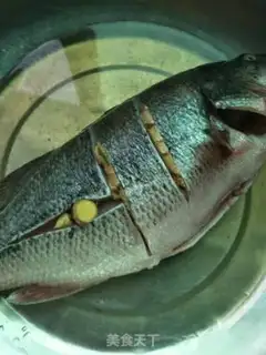 Make Vacuate herring step 0