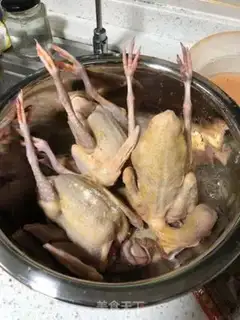 Make Five pickle-skin pigeons step 0