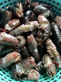 Make Garlic lobster step 0