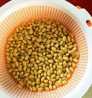 Make Cheese soy beans step 0