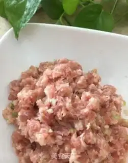 Make Porkballs step 3