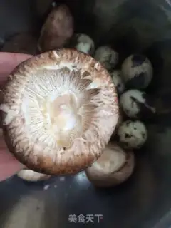 Make Frozen eggs step 1