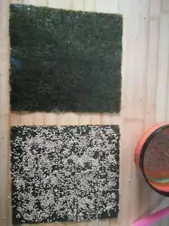 Make Sesame and moss step 3
