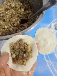 Make The hog dumplings of mushrooms step 13