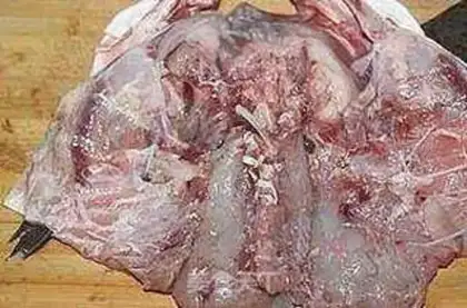 Make Pepper chopper head step 0