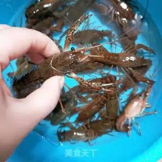 Make Spicy lobster step 3