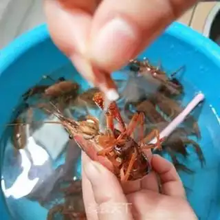Make Spicy lobster step 6