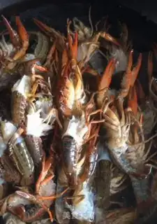 Make Red burning lobster step 1