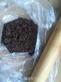 Make The yogurt plant step 6