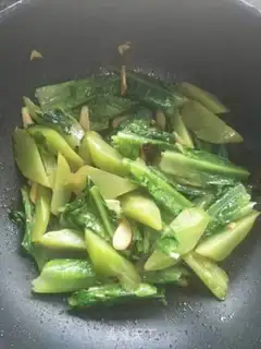 Make The yogurt plant step 9