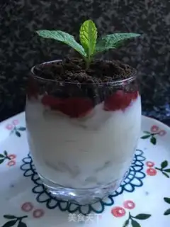 Make The yogurt plant step 10