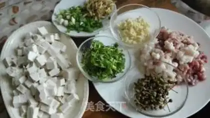 Make Meat tofu step 0