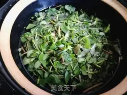 Make Horse tooth tea step 3