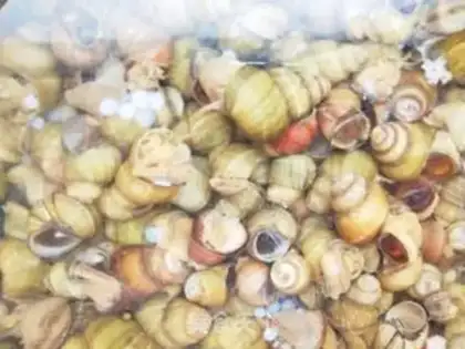 Make Chicken claws burn snails step 0