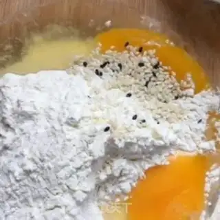 Make Plum step 2