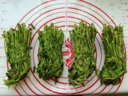 Make Frozen to save the scent step 4