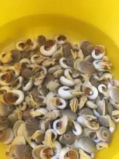 Make Ginger sauce step 0