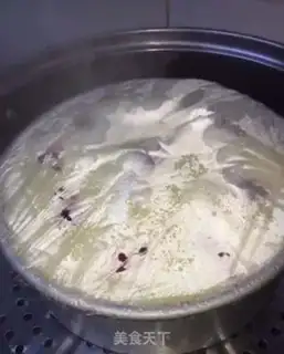 Make Yogurt step 8