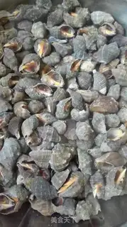 Make A beer with a conch step 0