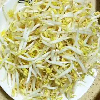 Make Tofu sprouts step 5
