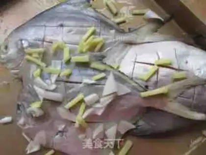 Make Squidfish step 1