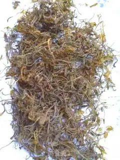 Make Homemade gold and silver tea step 9