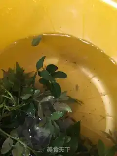 Make Bronze step 2