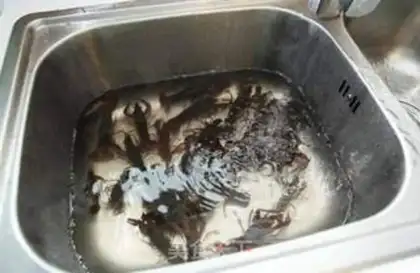 Make Spicy lobster step 0