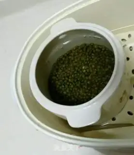 Make Mint green bean sand step 0