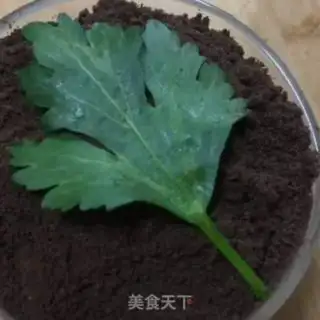 Make Olio Pond step 5
