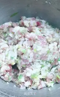 Make Pork dumplings step 4