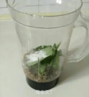 Make Mint green bean sand step 5