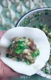 Make Pork dumplings step 10
