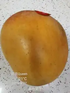 Make Mango, sweet rice step 1